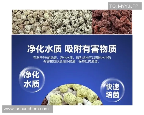 新型净水材料的研发与应用前景分析：提升水质净化效率的创新途径