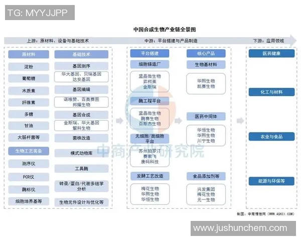 生物科技驱动未来探索基因编辑与合成生物学的创新发展路径